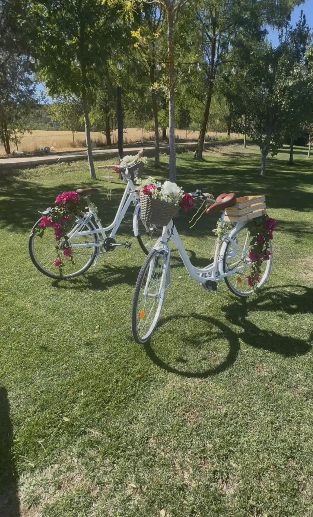 Bicicletas decorativas 